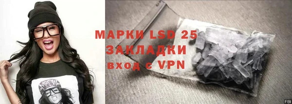 индика Гусиноозёрск