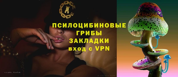 индика Гусиноозёрск