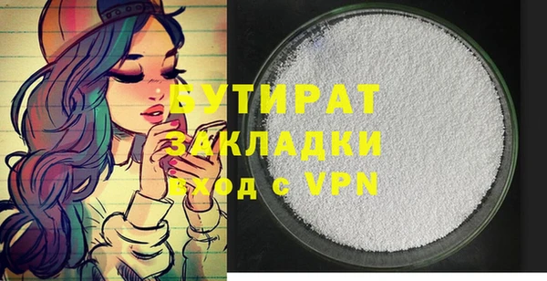индика Гусиноозёрск