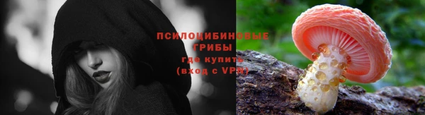 apvp Гусь-Хрустальный
