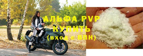 индика Гусиноозёрск