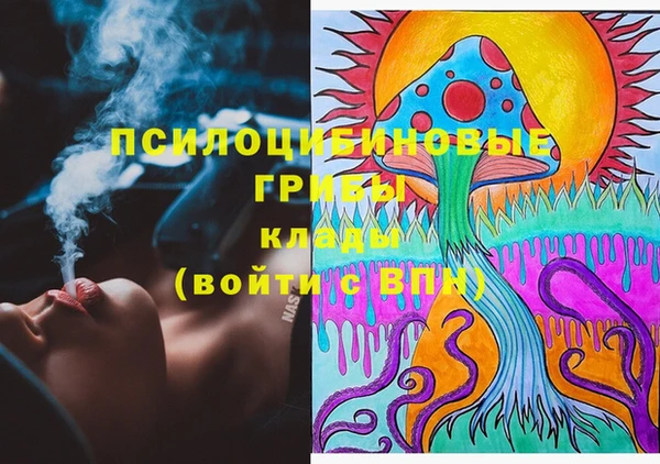 индика Гусиноозёрск