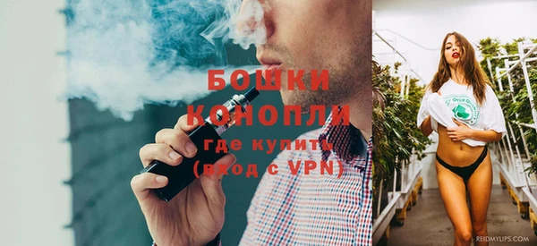индика Гусиноозёрск