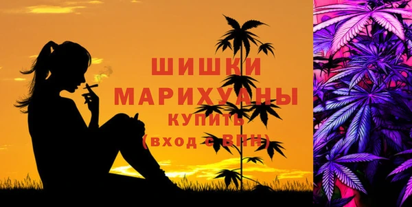 гидропоника Гусев