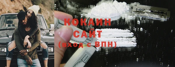 индика Гусиноозёрск