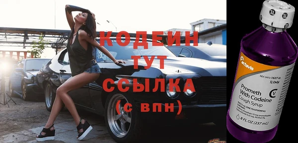 индика Гусиноозёрск