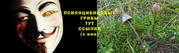 гидропоника Гусев