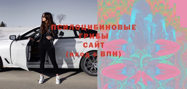 гидропоника Гусев