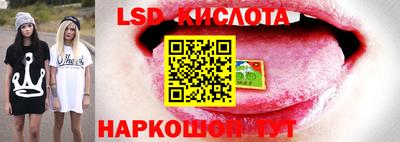 шишки Гусев