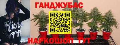 гидропоника Изобильный