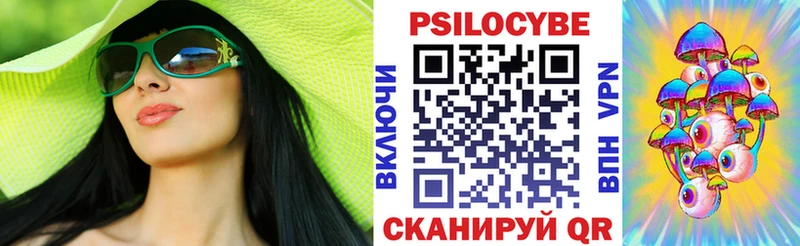 Псилоцибиновые грибы Psilocybe  где можно купить   Можга 