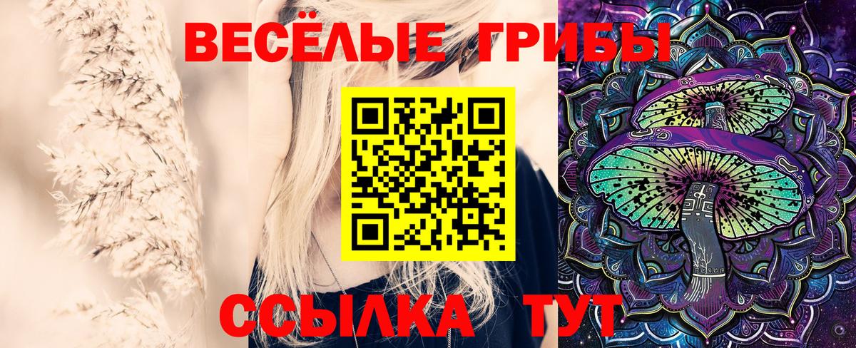 Псилоцибиновые грибы Cubensis Можга