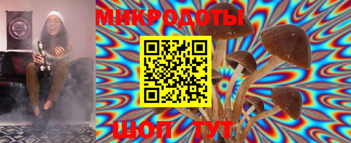 Псилоцибиновые грибы MAGIC MUSHROOMS  Можга 